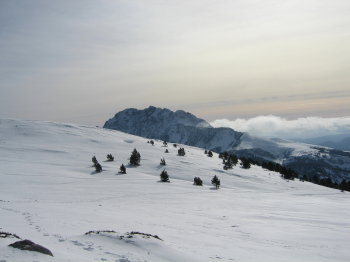 Serra Pedregosa a l'hivern