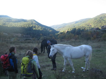 Jugant amb els cavalls