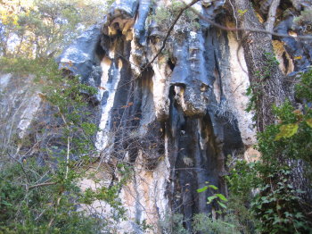 Estalactites en un punt del camí