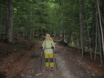 La Sílvia en el moment de sortir, enmig d'un bosc humit i espès La Sílvia en el moment de sortir, enmig d'un bosc humit i espès