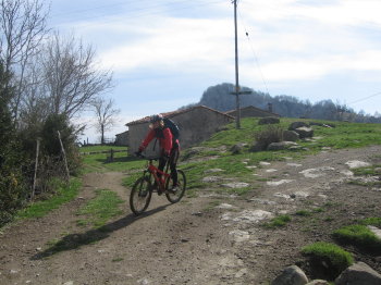 Prop de coll de Forn