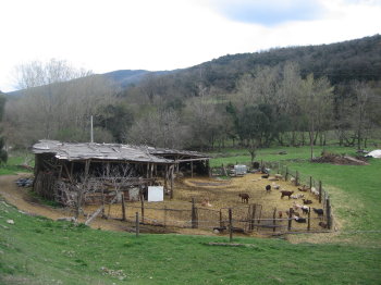 Corral