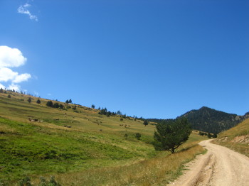 Coll de la Creu de Ras de Conques