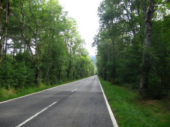 Carretera d'Auritz a Orreaga