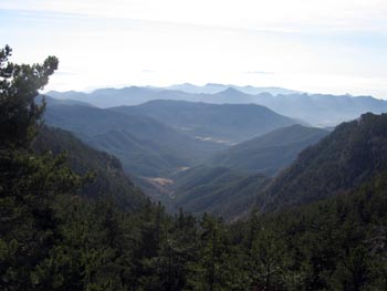 Vista de la Vall del Rec de la Clusa des del cap d'avall del Pla de l'Orri