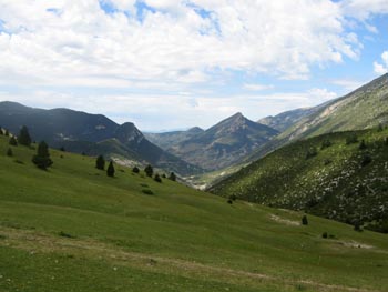 Vall de Cerneres vista des del Collell